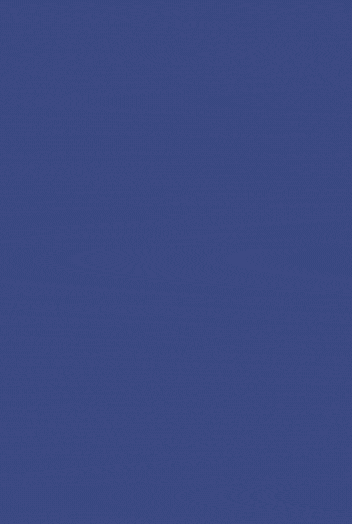 REVIEW.gif
