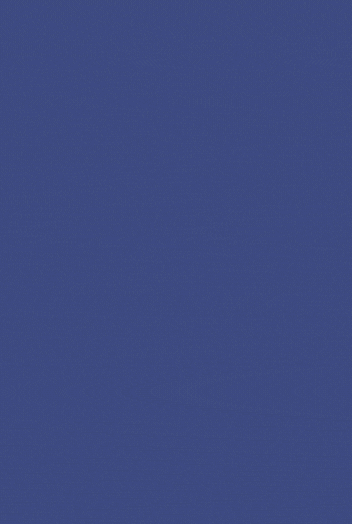 REVIEW.gif