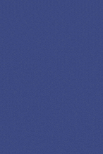 REVIEW (1).gif