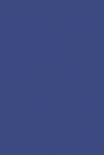 REVIEW.gif