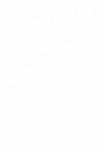 REVIEW.gif