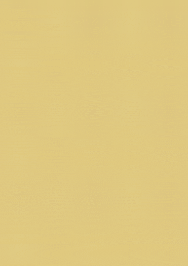 REVIEW (3).gif