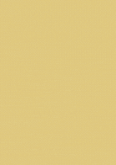 REVIEW (2).gif