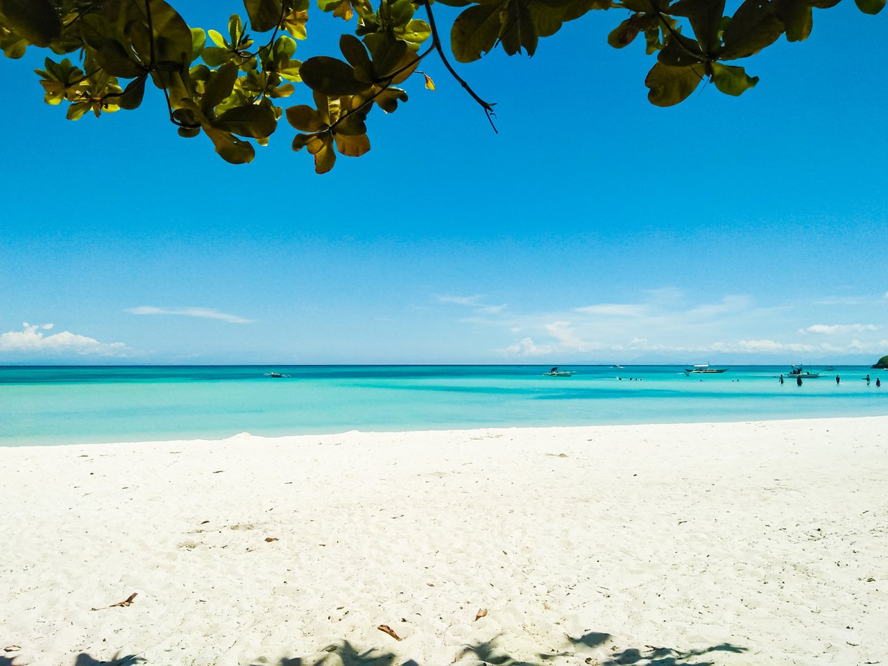 Definitely Cebu #15: Tour at Oboob Mangrove Garden (Eco-Park), Bantayan ...