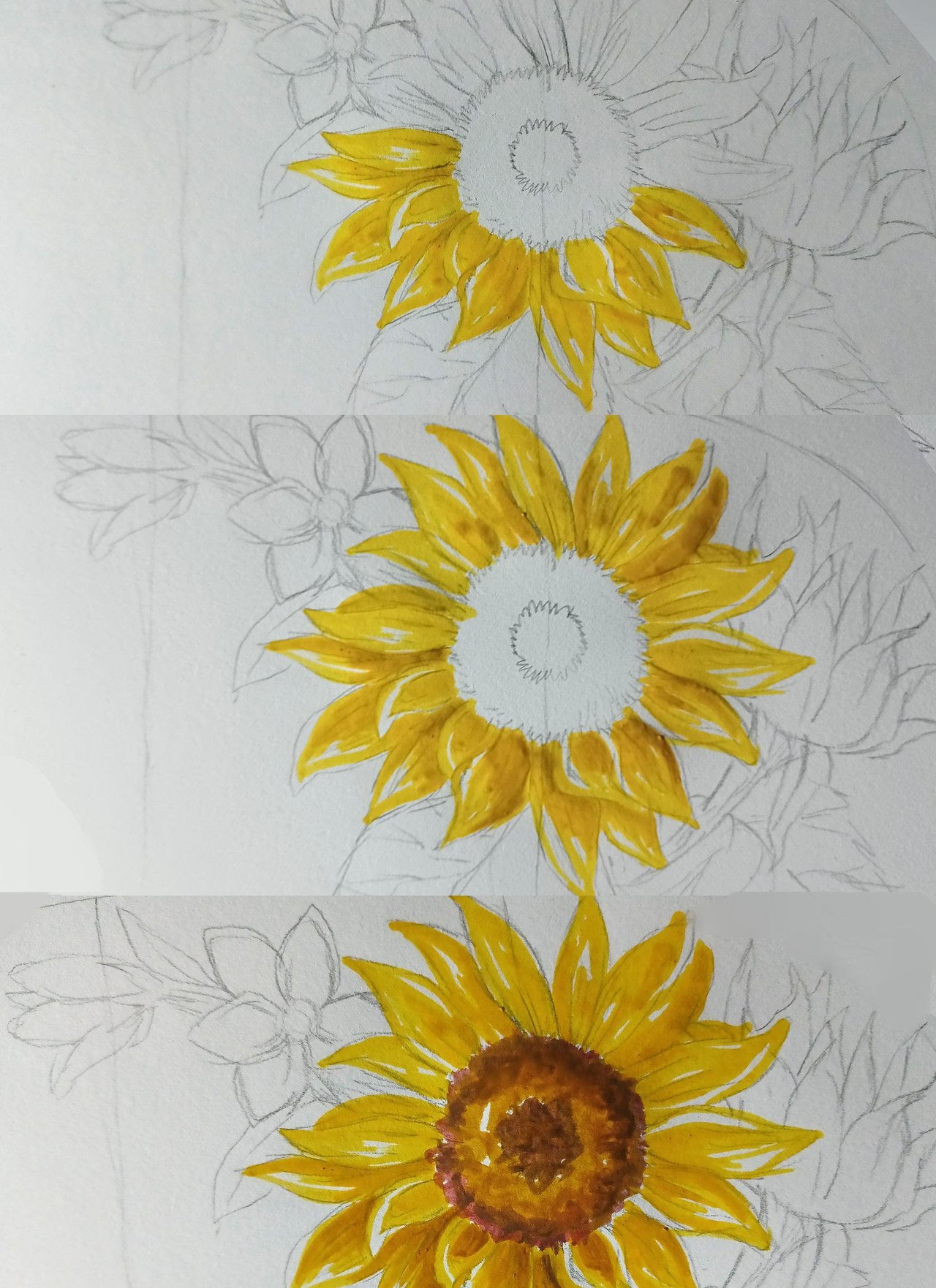 Pintando girasoles - paso a paso | Painting sunflowers - step by step  [ENG-ESP] | PeakD