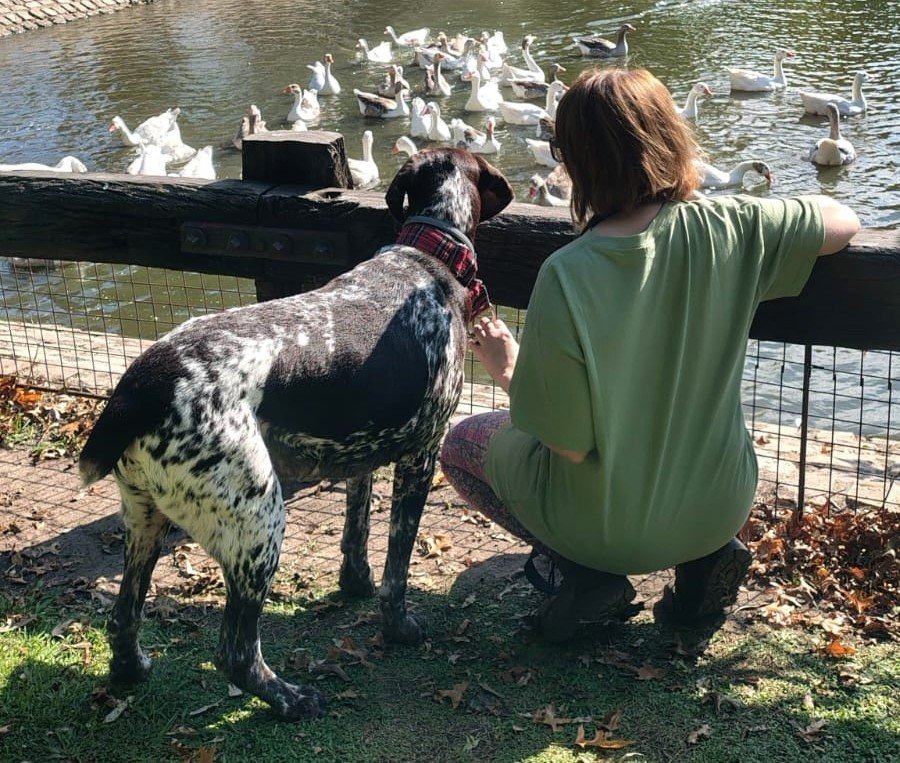  [ENG/ESP] Perfect day: forest, river, and a dog 🌳+🌊+🐶=💖