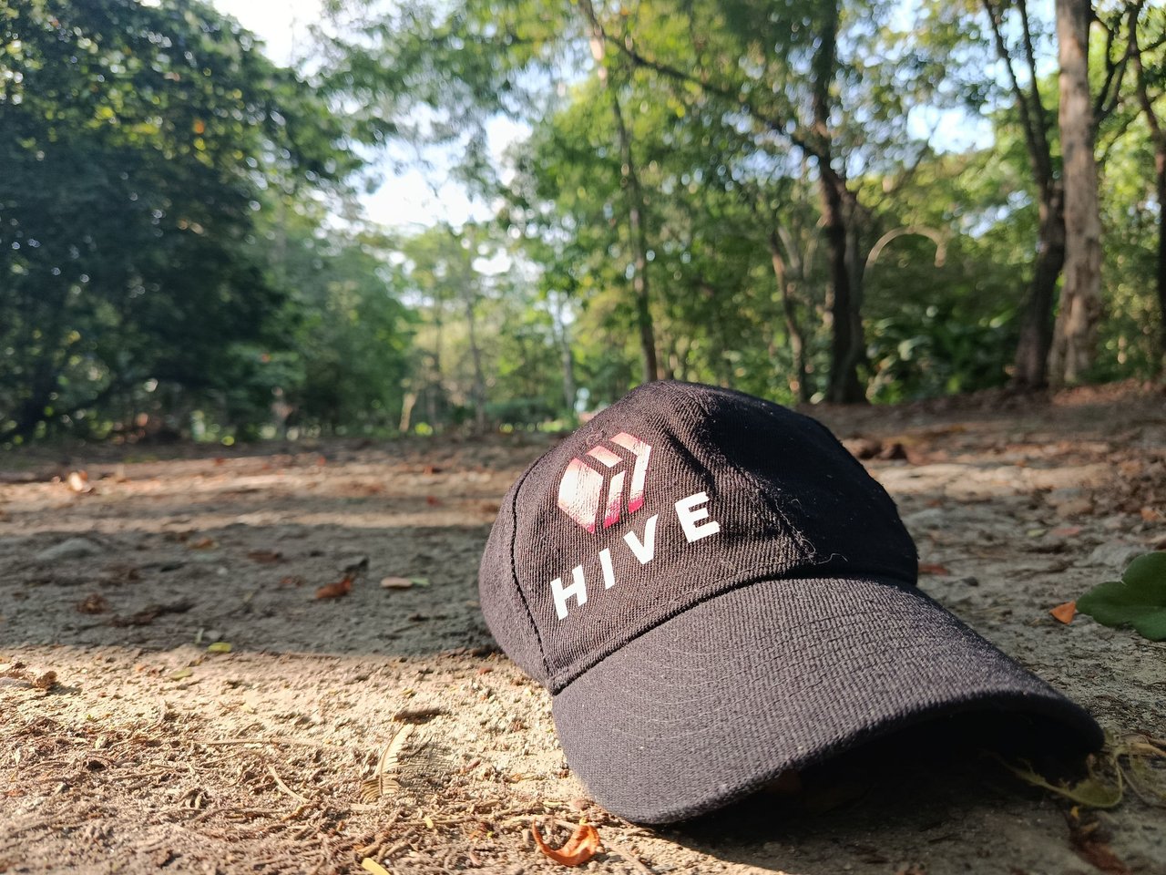 Hive Walking Experience 