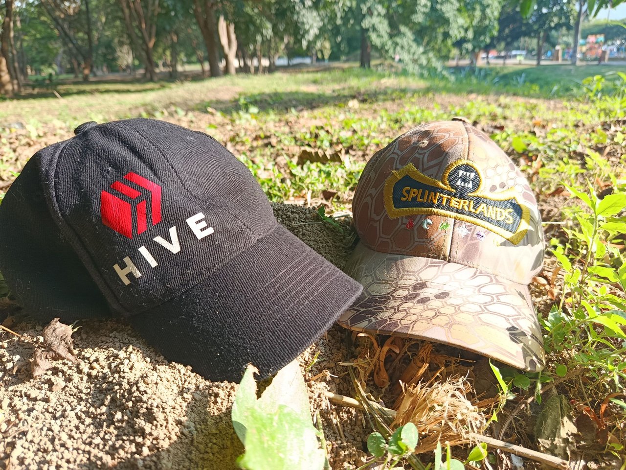Splinterlands 🧢 Hive Experience traveling and learning about Blockchain 