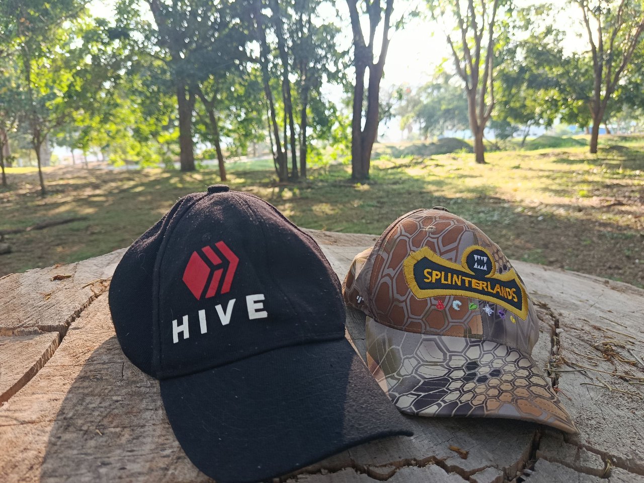 Splinterlands 🧢 Hive Experience traveling and learning about Blockchain 