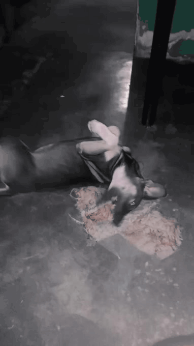 20220821_185032.gif