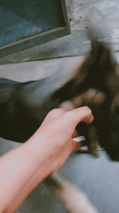 20220821_185142.gif