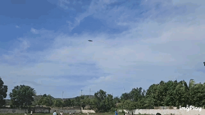 1000047192.gif