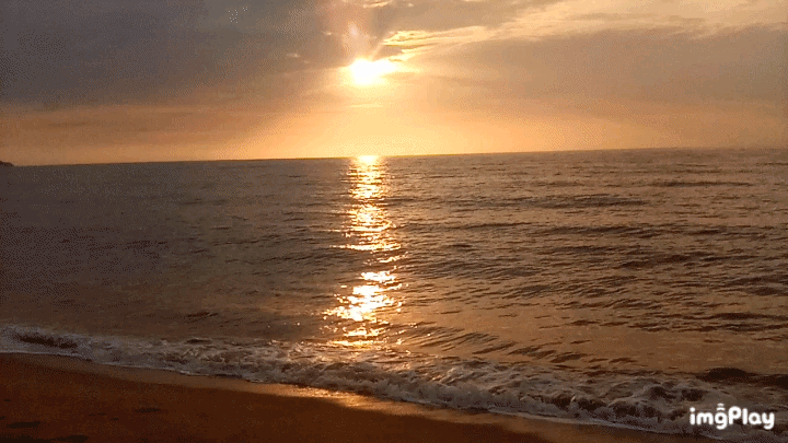 1000123841.gif