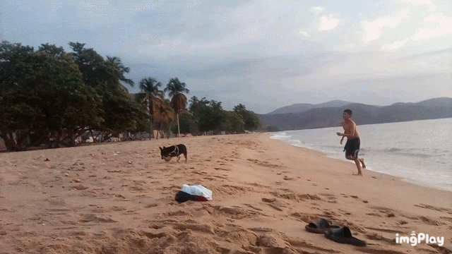 1000123842.gif