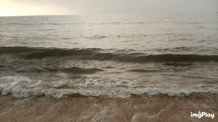 1000123840.gif