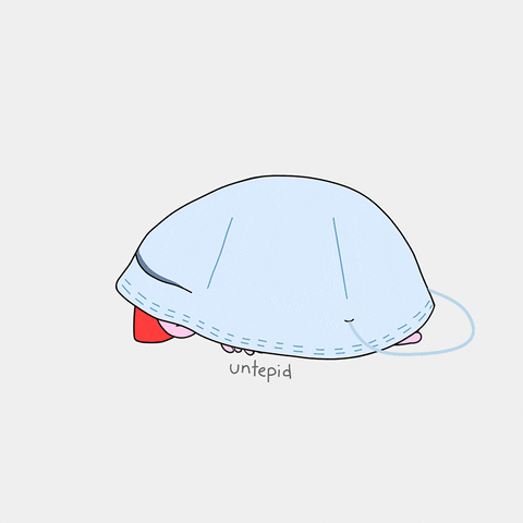 73I8nvSQ-giphy2.gif