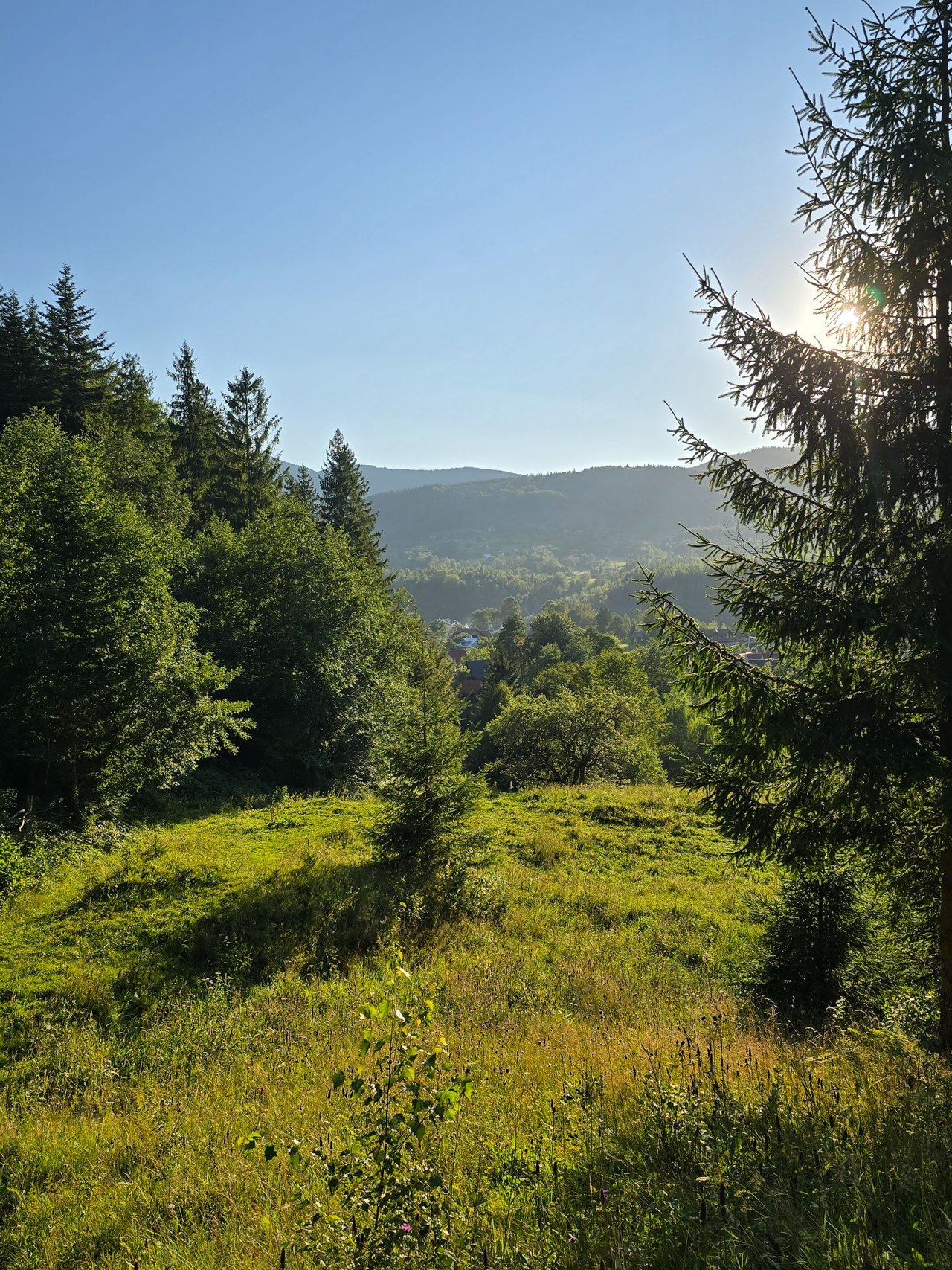 https://files.peakd.com/file/peakd-hive/zirochka/245T1XKbVmyjbYmVZbzqgKoNDgd8quJZgvKbvf8nobvBeAo3yeXguHMnNnANgGcY6gUZZ.jpg