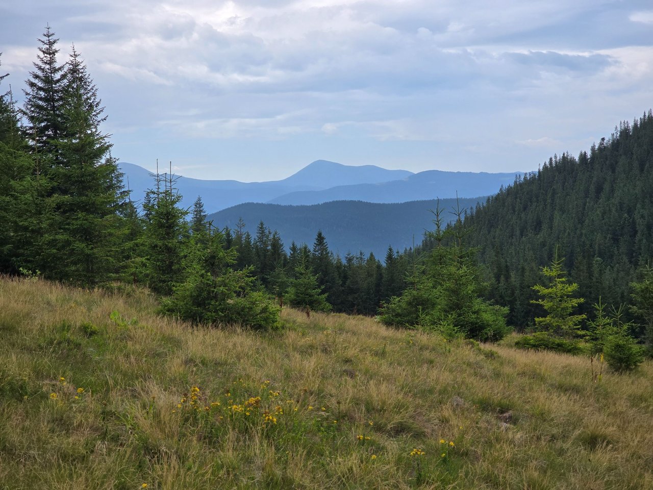 https://files.peakd.com/file/peakd-hive/zirochka/EnoJBu8Lg5bg3zF5tCb7pE7McmyMJ3HTeofxS2E6SNB2Lo3Aw6MduusPViHAXYBE7nX.jpg