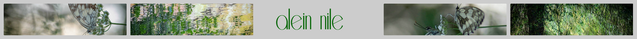 alein nile.png