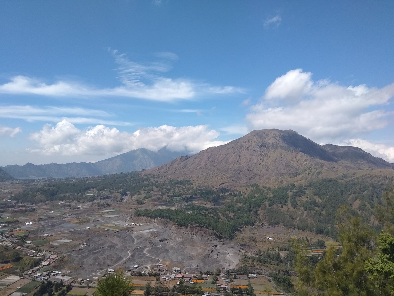 IMG_20190724_114954.jpg