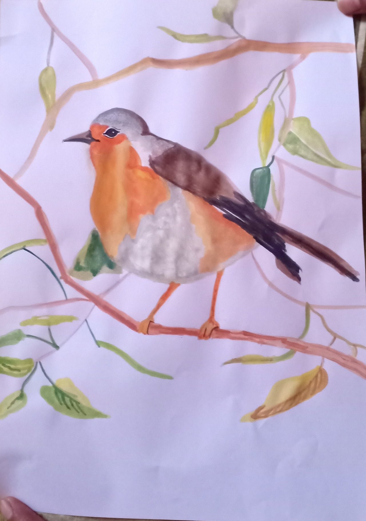 Bird Final.jpg