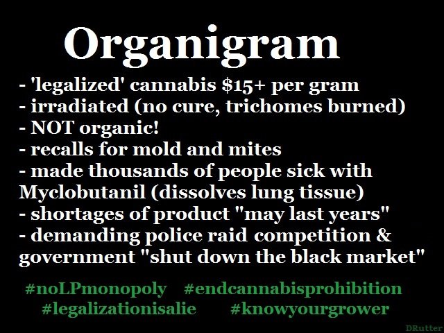 organigram.jpg