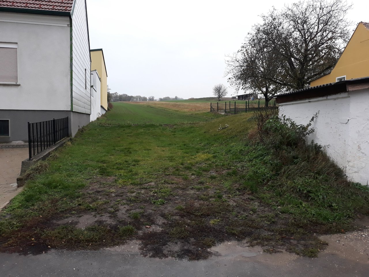 20191105_160415.jpg