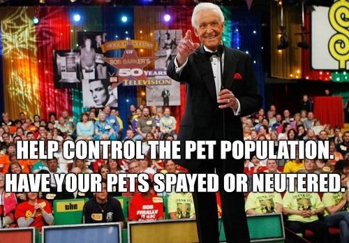 It is absolutely crucial to spay neuter your pet PeakD