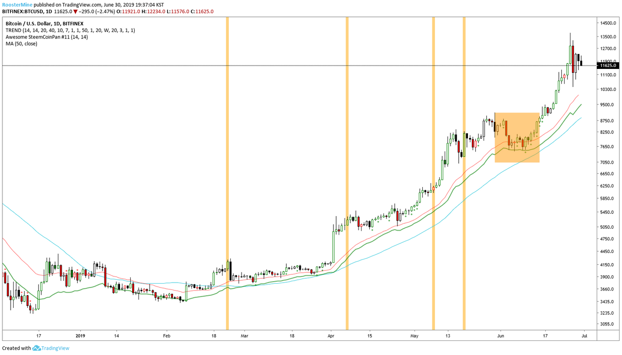 빙구처럼 트레이딩: 코인 차트 