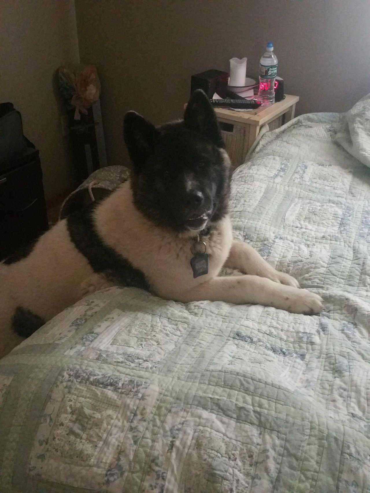 20180523_114259.jpg