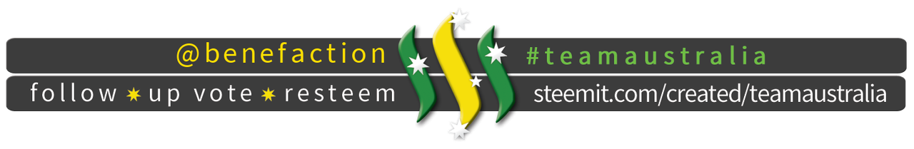 TeamAustralia Slim Banner