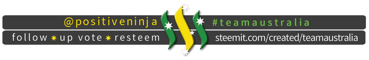 TeamAustralia Slim Banner
