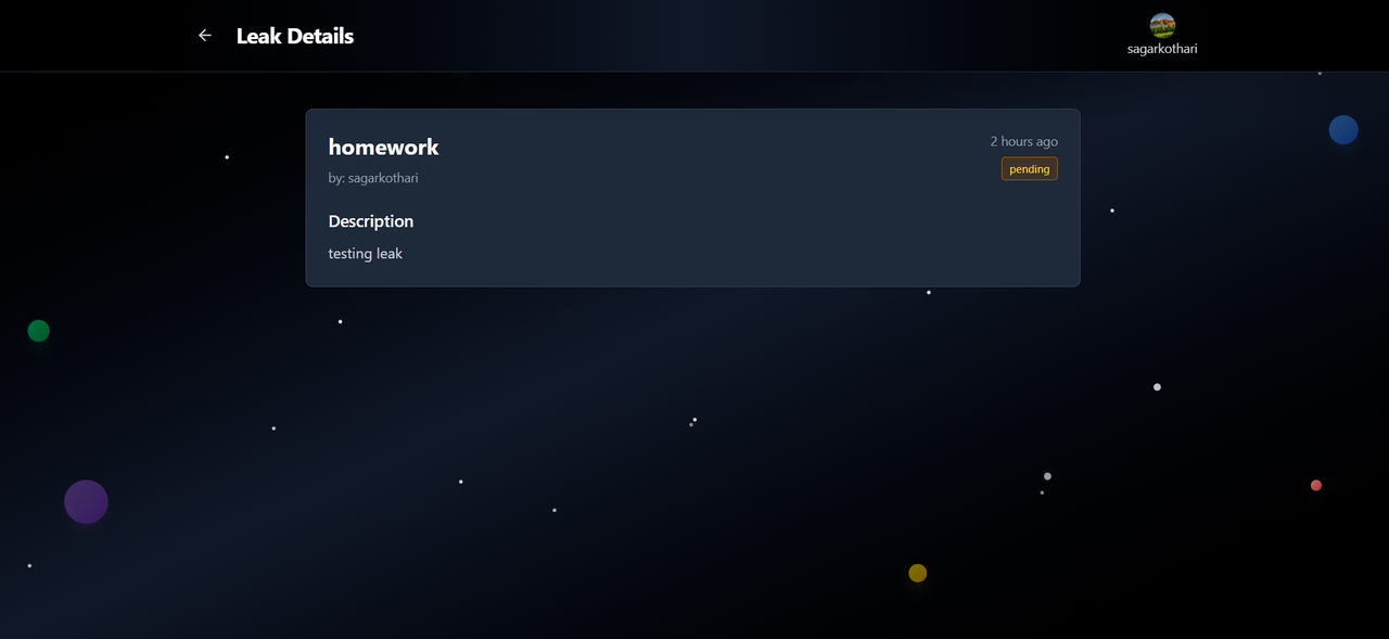 Submitted hive fest leak details