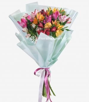 https://haifa.floral-expert.com/upload/resize_cache/iblock/b15/340_340_040cd750bba9870f18aada2478b24840a/b15330222d7230a29970bfb036a6515b.jpg