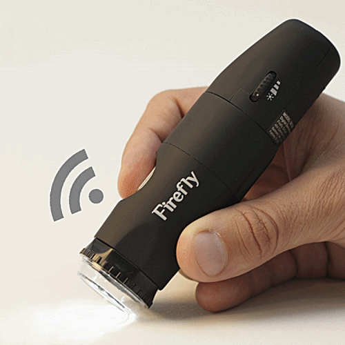 firefly0.gif