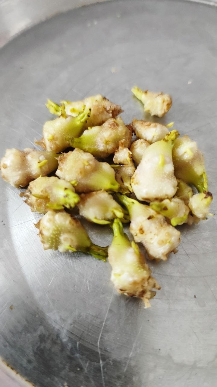 potato-sprouts.jpg