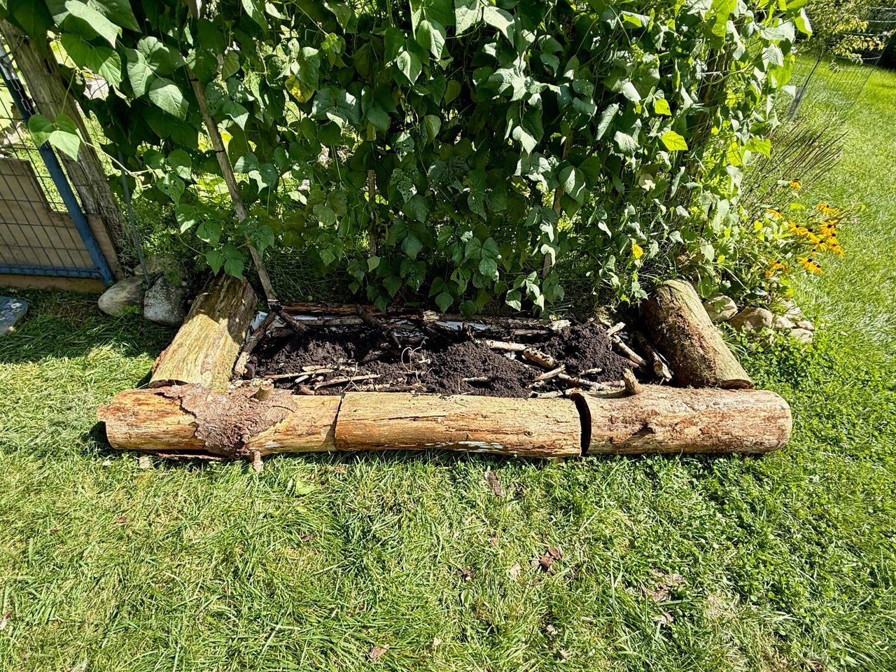 Right with sticks