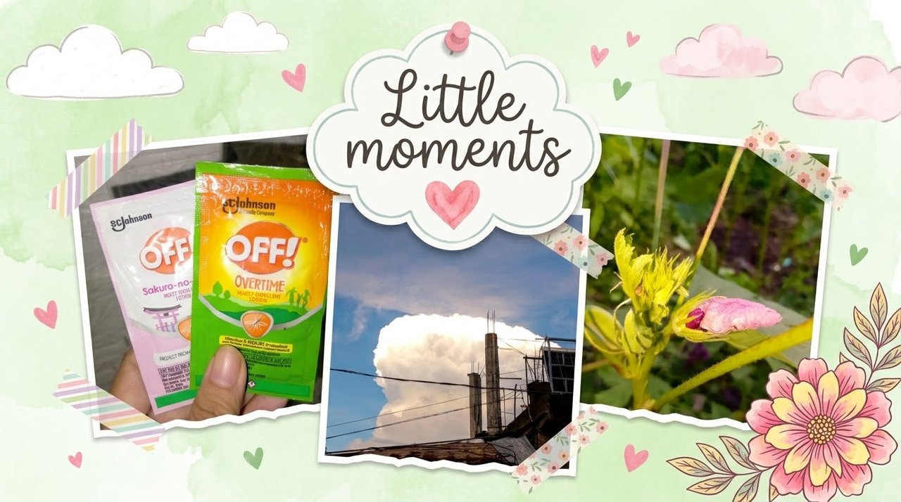 Random Happenings: Little Things That Caught My Attention Yesterday