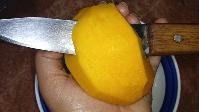 IMG-20220509-203107