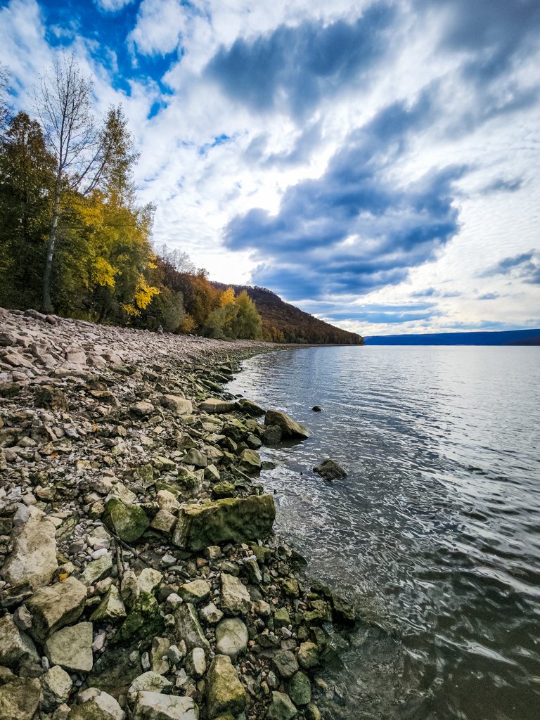 My Actifit Report Card: October 14 2026