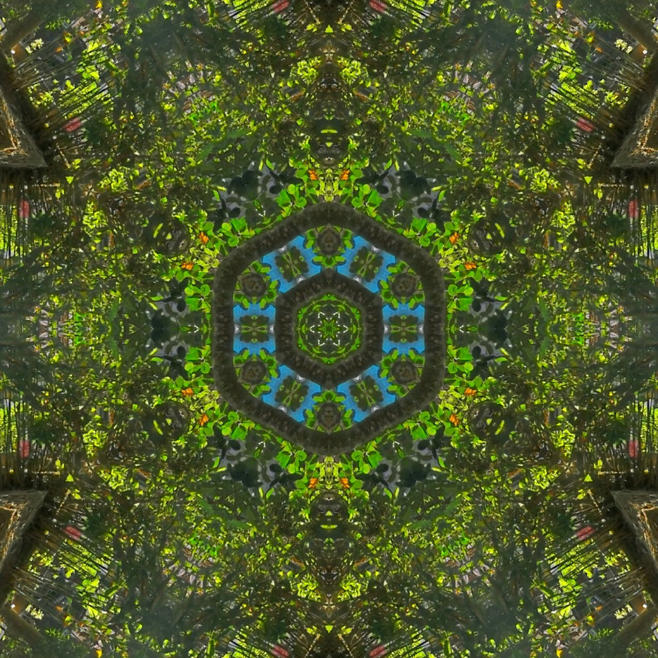 007c