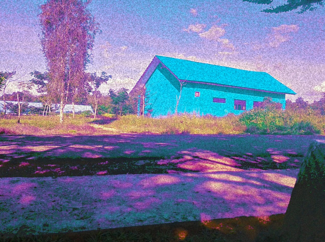 006d
