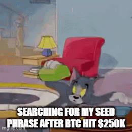Searching for the seed phrase