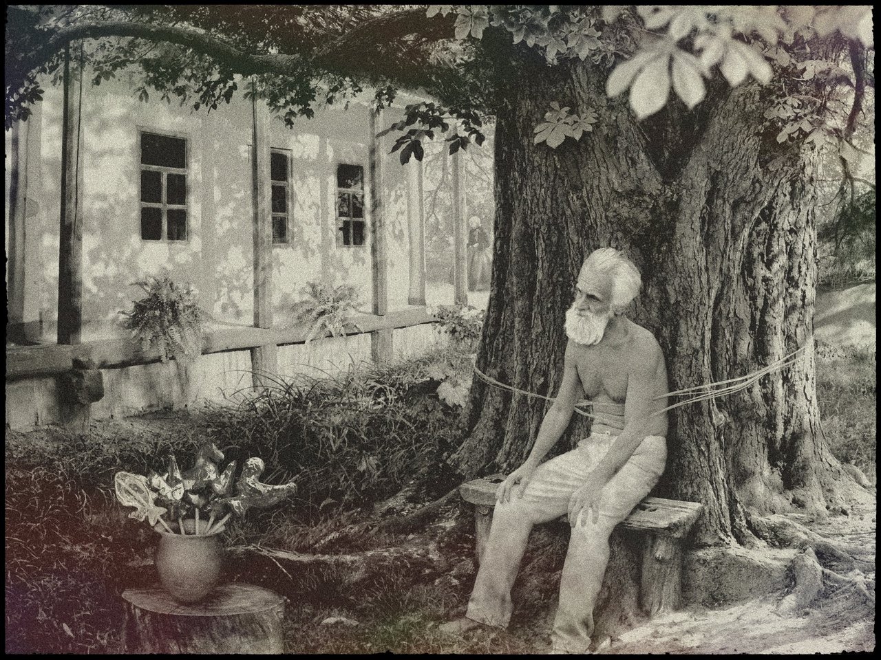 One Hundred Years of Solitude\, image size:1280x960