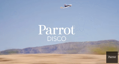 parrot-disco.gif