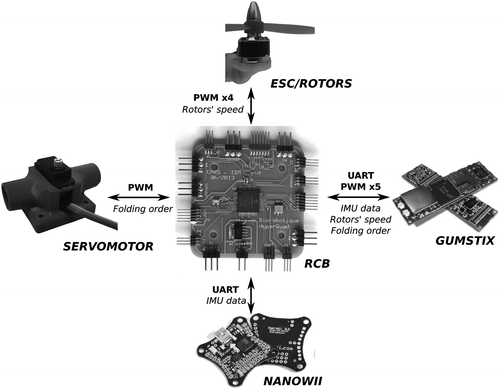 figure2.gif