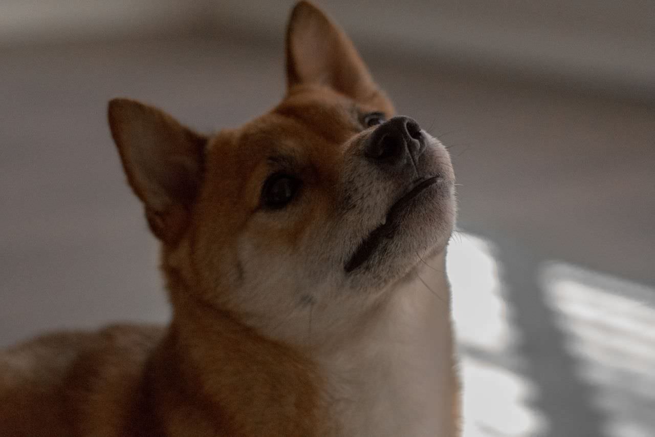 Heck!!
