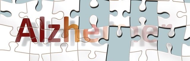 https://i.postimg.cc/TwG94RFR/dementia-3268560-640.jpg