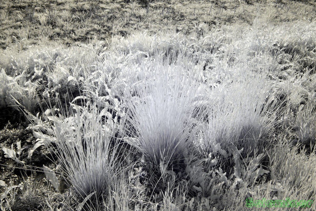 rw-1210849.jpg