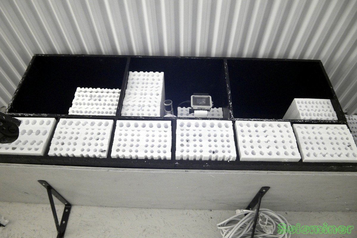 rw-1210946.jpg